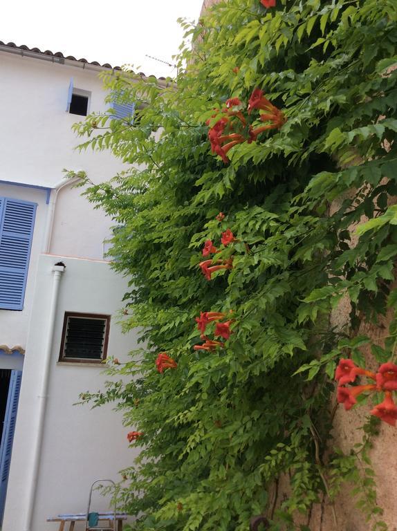Ithaka Vacacional Hotel Arta Exterior photo